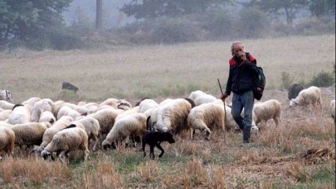 Τέλη Αυγούστου η πληρωμή βιολογικών, ακολουθούν τα υπόλοιπα της εξισωτικής 2014