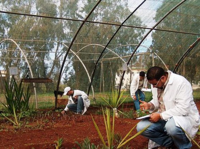 Από 1η Σεπτεμβρίου οι εγγραφές στις σχολές του ΕΛΓΟ – ΔΗΜΗΤΡΑ