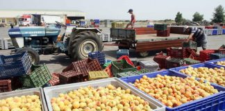 Άντεξαν τους πρώτους κλυδωνισμούς του Brexit οι εξαγωγές τροφίμων