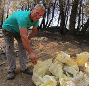 Αυτοψία στη βόρεια Εύβοια: Σε μόνιμη ανεργία οι ρητινοκαλλιεργητές