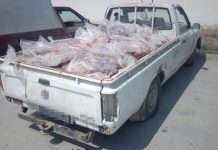 Τρεις συλλήψεις στον Έβρο για παράνομη διακίνηση 1.200 κιλών κρέατος