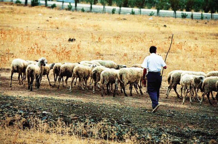 Αποκλειστικά στην «ΥΧ» οι κατηγορίες και ο αριθμός των «κομμένων» της εξισωτικής αποζημίωσης του 2016