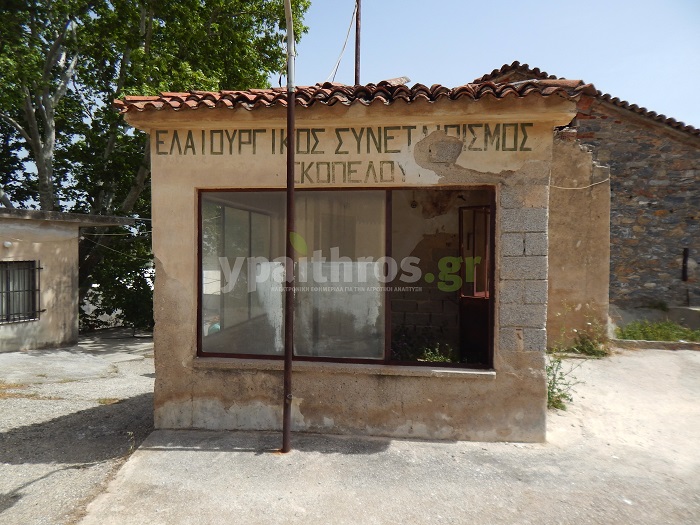 Αγροτικός Συνεταιρισμός Σκοπέλου, Γέρα, Λέσβος Η «Ύπαιθρος Χώρα» στη Λέσβο