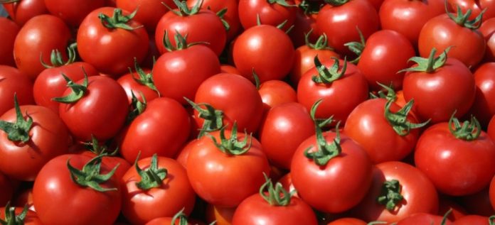 Μεσσηνία: «Βουτιά» της υπαίθριας ντομάτας
