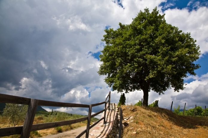 Το οινοποιείο «κόσμημα» της αιτωλικής γης