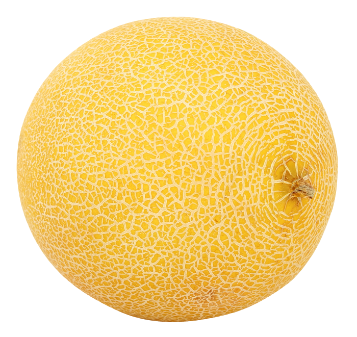 pligma-gia-ta-gallika-peponia-o-kairos-45112