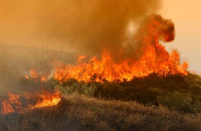 Ενισχύθηκαν οι πυροσβεστικές δυνάμεις που επιχειρούν στη Νεμέα