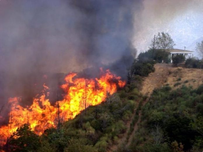 Σε εξέλιξη πύρινα μέτωπα σε Ροδόπη, Μεσολόγγι, Δράμα και Λιβαδειά Σε εξέλιξη πύρινα μέτωπα σε Ροδόπη, Μεσολόγγι, Δράμα και Λιβαδειά