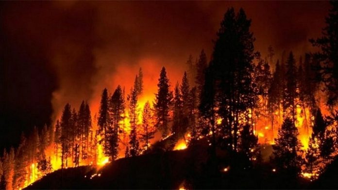 Ενισχύθηκαν οι δασικές πυρκαγιές στο βόρειο τμήμα της Πορτογαλίας Ενισχύθηκαν οι δασικές πυρκαγιές στο βόρειο τμήμα της Πορτογαλίας