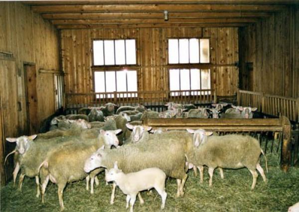 pairnei-nea-paratasi-i-adeiodotisi-ton-stavlon-48441