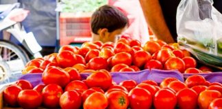 Στη ραστώνη του Αυγούστου αυξήθηκε η τιμή της ντομάτας