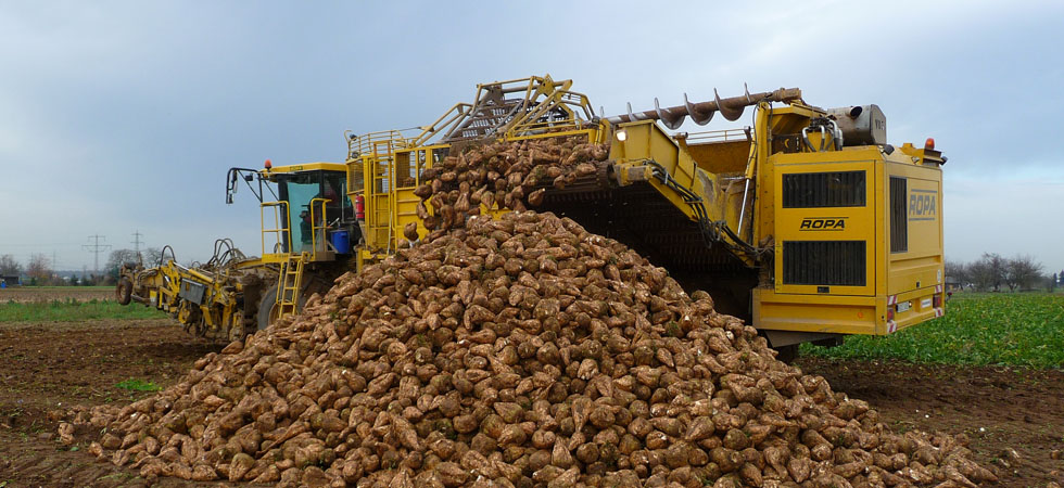 stous-logariasmous-ton-teftloparagogon-ta-5-ekat-evro-46865