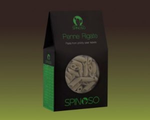 Το ταπεινό φύλλο της φραγκοσυκιάς  μεταμορφώνει τις πέννες