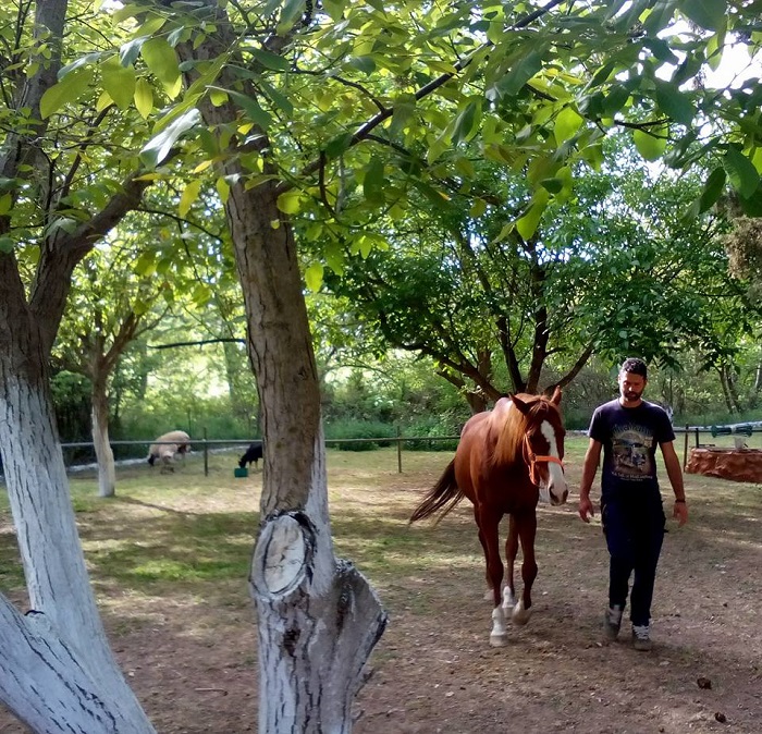 Επιχειρηματικά θαύματα στους πρόποδες της Δίρφυς