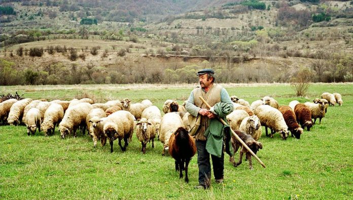 Από σήμερα στο ταμείο για βιολογικά, Ολοκληρωμένη τεύτλων και σπάνιες φυλές Από σήμερα στο ταμείο για βιολογικά, Ολοκληρωμένη τεύτλων και σπάνιες φυλές