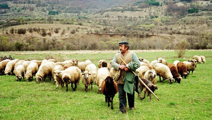 Από σήμερα στο ταμείο για βιολογικά, Ολοκληρωμένη τεύτλων και σπάνιες φυλές