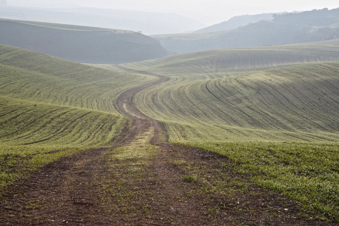 Τα χρώματα του Θεσσαλικού κάμπου μέσα από 17 φωτογραφίες