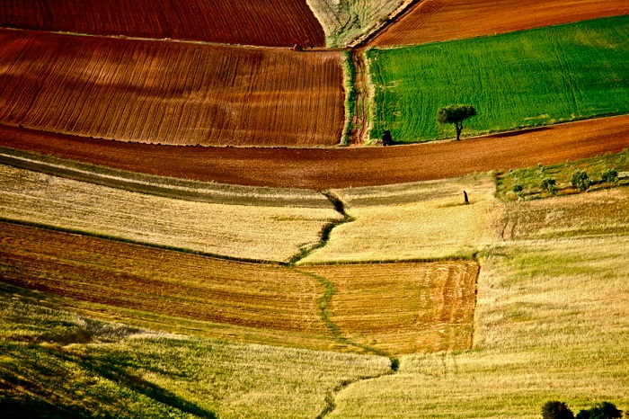 Τα χρώματα του Θεσσαλικού κάμπου μέσα από 17 φωτογραφίες