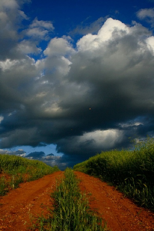 Τα χρώματα του Θεσσαλικού κάμπου μέσα από 17 φωτογραφίες