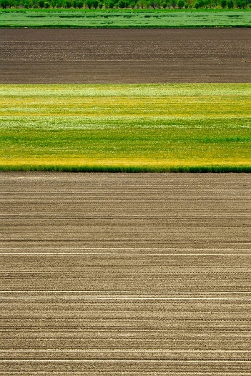 Τα χρώματα του Θεσσαλικού κάμπου μέσα από 17 φωτογραφίες
