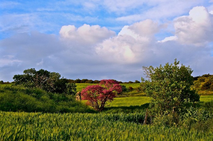 Τα χρώματα του Θεσσαλικού κάμπου μέσα από 17 φωτογραφίες