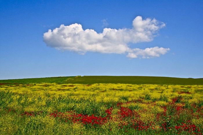 Τα χρώματα του Θεσσαλικού κάμπου μέσα από 17 φωτογραφίες