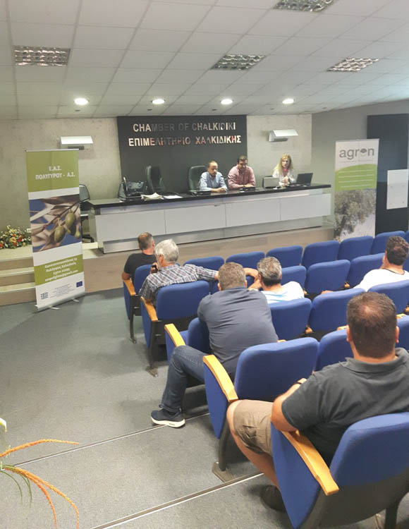 Σύστημα Ολοκληρωμένης Διαχείρισης των ΟΕΦ