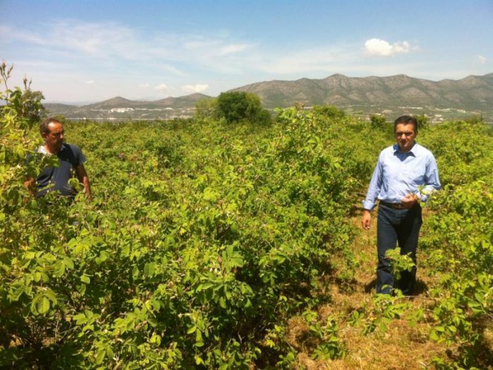 Περιοδεία Τομεάρχη Αγροτικού της ΝΔ στο νομό Λάρισας Περιοδεία Τομεάρχη Αγροτικού της ΝΔ στο νομό Λάρισας