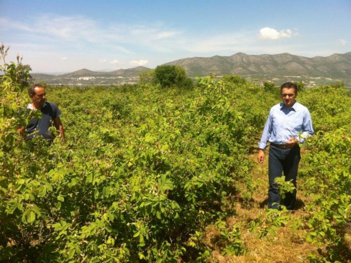 Περιοδεία Τομεάρχη Αγροτικού της ΝΔ στο νομό Λάρισας