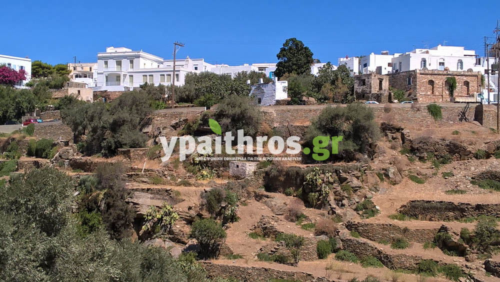 Το ypaithros.gr στη Σίφνο. Ο πρωτογενής τομέας του νησιού σε ένα πλούσιο φωτορεπορτάζ