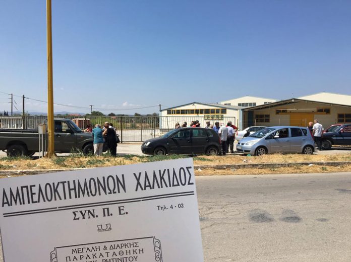 Από νέα αφετηρία ξεκινά ο ΑΣ Αμπελοκτημόνων Χαλκίδας Από νέα αφετηρία ξεκινά ο ΑΣ Αμπελοκτημόνων Χαλκίδας