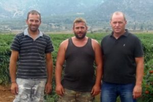 Αναπτυσσόμενη δύναμη στην ντομάτα η Κανδήλα