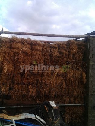 Ανεμοστρόβιλος στην Ανδραβίδα έπληξε αγροτικές καλλιέργειες