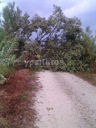 Ανεμοστρόβιλος στην Ανδραβίδα έπληξε αγροτικές καλλιέργειες