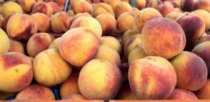 Ασπροπρόσωπη βγάζουν τη χώρα τα αγροτικά προϊόντα