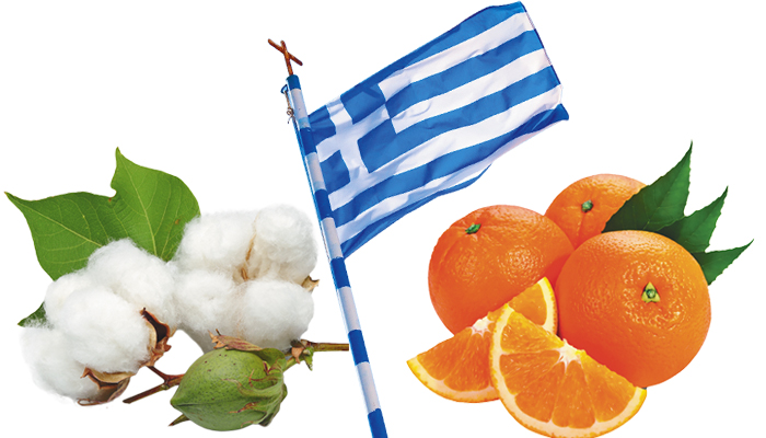 erevna-ta-agrotika-proionta-sozoun-tin-timi-ton-exagogon-50531