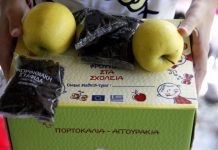 Με κονδύλι 4,5 εκατ. ευρώ το νέο πρόγραμμα προώθηση φρούτων στα σχολεία