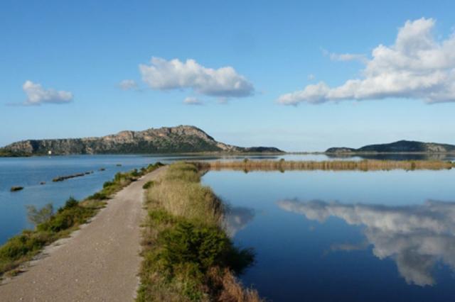 Εθελοντικός καθαρισμός στη λιμνοθάλασσα Γιάλοβα