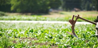 Η πράσινη γεωργία στα χέρια των αγροτών