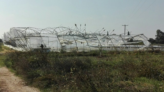 θέσεις και προτάσεις της ΛΑΕ για την αποζημίωση των πληγέντων παραγωγών από την θεομηνία της 6ης Σεπτεμβρίου (τυφώνα, πλημμύρα και ισχυρή χαλαζόπτωση).