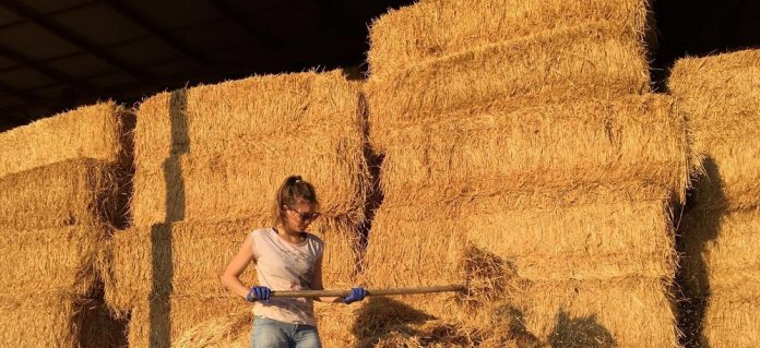 ΧΡΥΣΑΝΘΗ ΚΑΠΕΛΗ Από το οικονομικό πανεπιστήμιο, στην βιολογική αγελαδοτροφία ΧΡΥΣΑΝΘΗ ΚΑΠΕΛΗ Από το οικονομικό πανεπιστήμιο, στην βιολογική αγελαδοτροφία