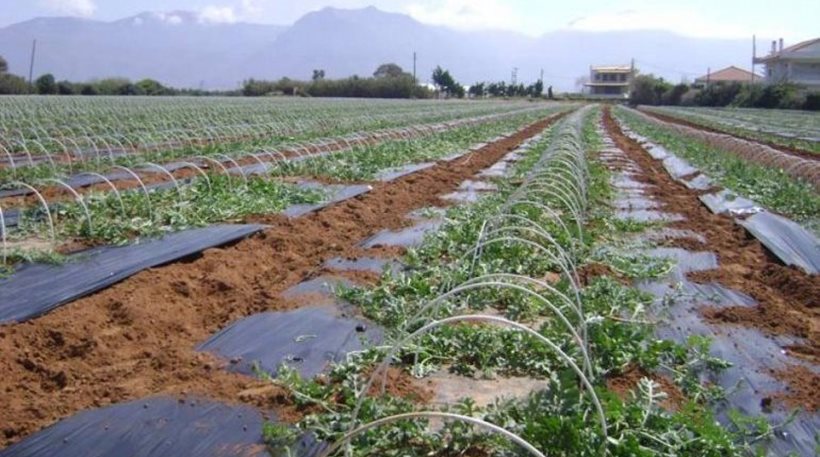 ΕΛΓΑ: Από 19/6 έως 18/7 αιτήσεις αποζημίωσης για καταστροφές του 2013