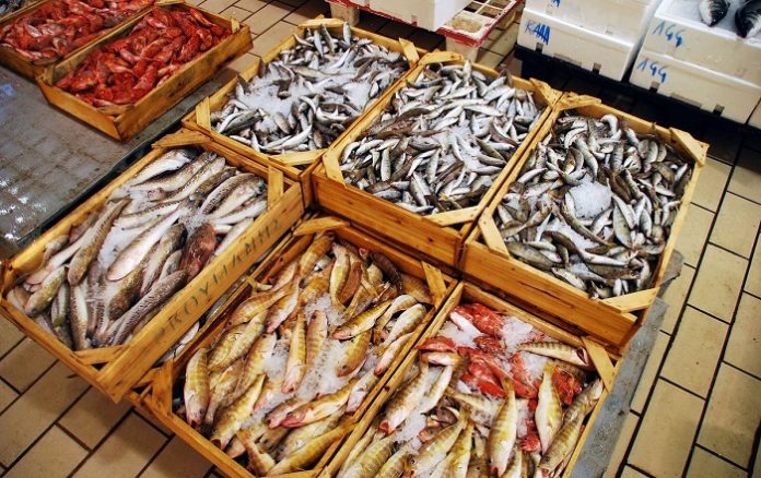 Κόμβος διακίνησης ψαριών η Iχθυόσκαλα Πατρών Κόμβος διακίνησης ψαριών η Iχθυόσκαλα Πατρών