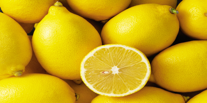 lemonia-klopes-mechri-kai-tou-40-tis-paragogis-49888