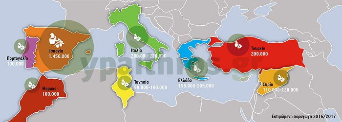 Μείωση της παραγωγής ελαιολάδου δείχνουν οι πρώτες εκτιμήσεις