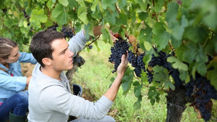 Ολοκληρώνεται αύριο 5/10 το ΟΣΔΕ για τους Νέους Ολοκληρώνεται αύριο 5/10 το ΟΣΔΕ για τους Νέους