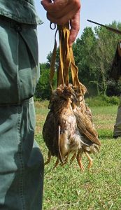 Τα κυνήγια του Σεπτέμβρη
