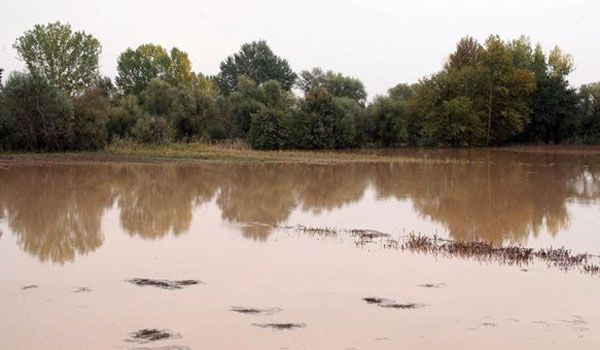 Υπερχείλισε σε χωράφια ο Πηνειός ποταμός Υπερχείλισε σε χωράφια ο Πηνειός ποταμός