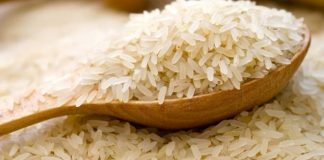Αφιερωμένη στους 3.000 ρυζοκαλλιεργητές η "Γιορτή Ρυζιού"