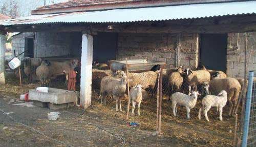 ti-perilamvanei-to-eperchomeno-nomoschedio-gia-tis-adeies-stavlon-50253
